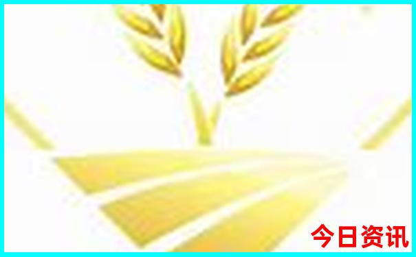 番禺适合带娃去的地方